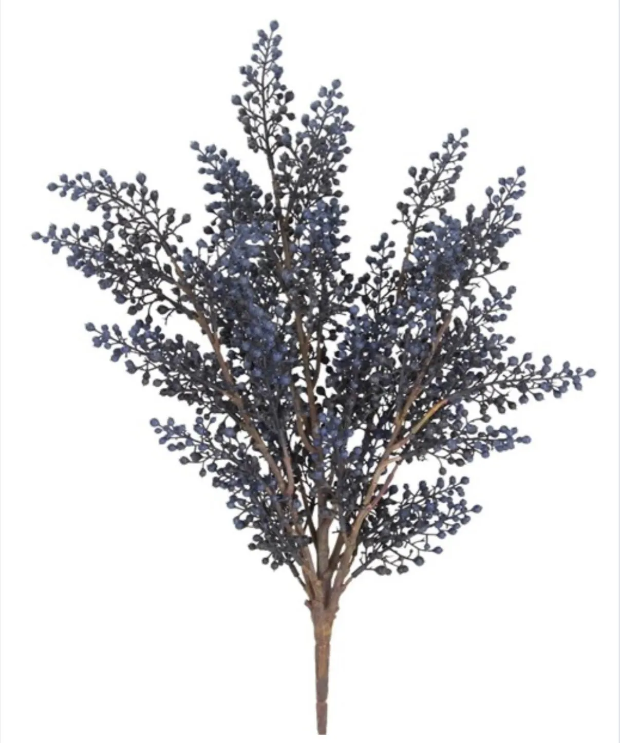 Blue mini berry seed bush - all pvc