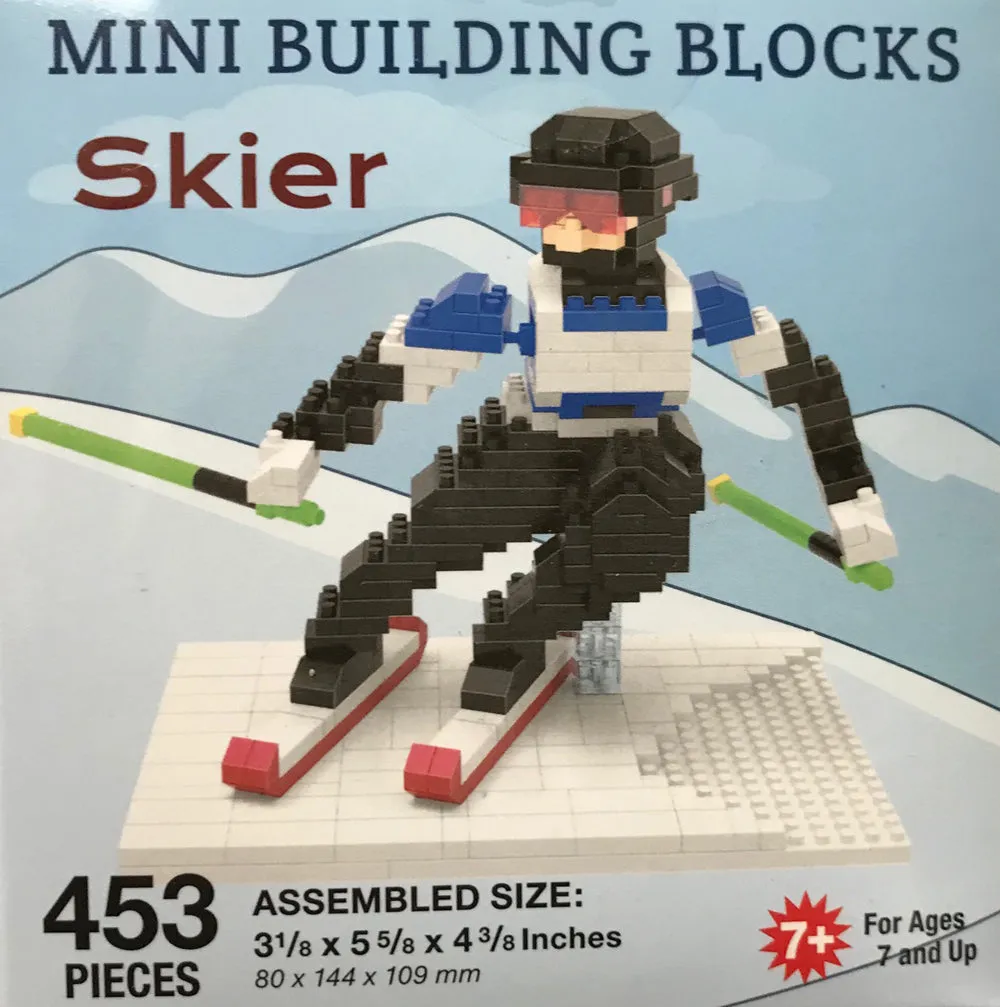 Souvenir Mini Building Blocks, Black Bear, Snowboarder, Skier, Camper, Big Foot & More