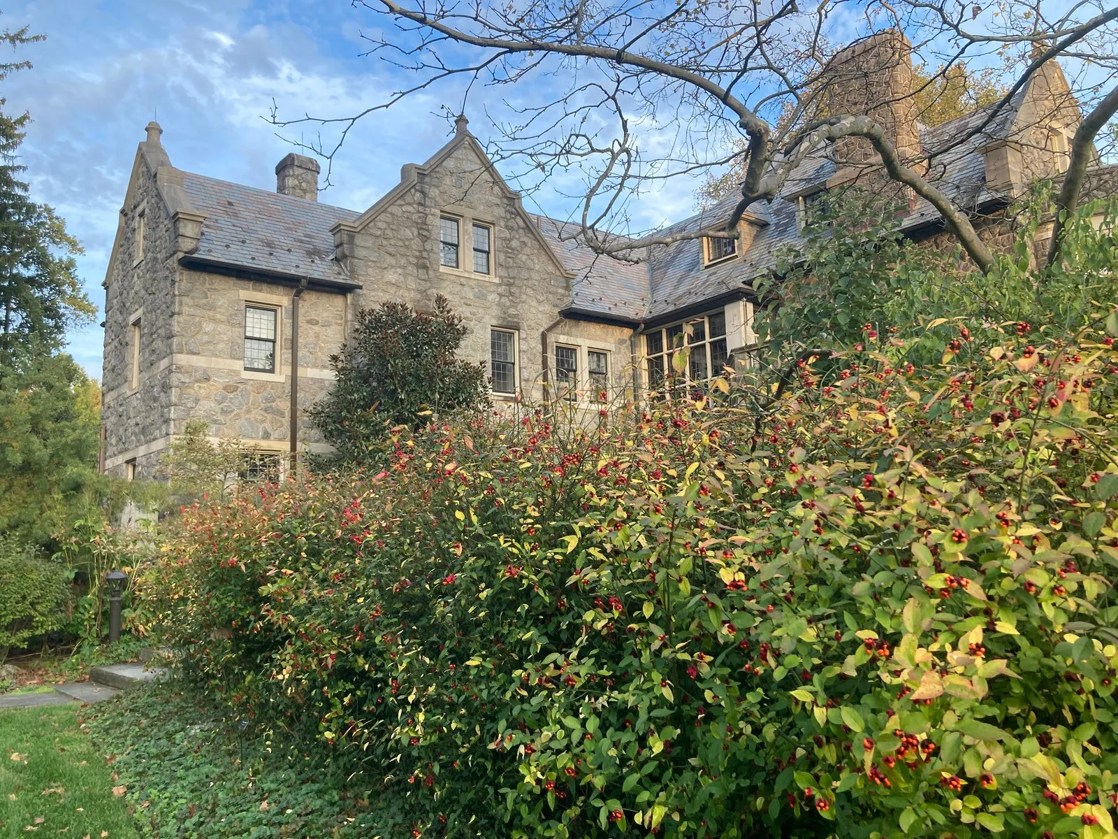 Strawberry Bush - Euonymus americanus